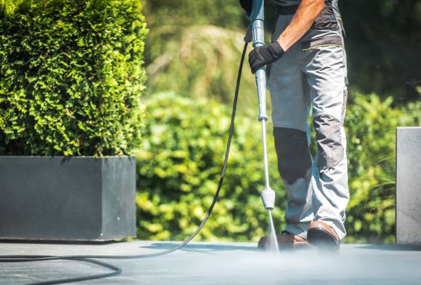 Best Roof Washing  in Chesterfield, IN